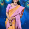 Meenakari weaving with contrast plain blouse with border