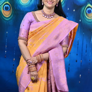 Meenakari weaving with contrast plain blouse with border