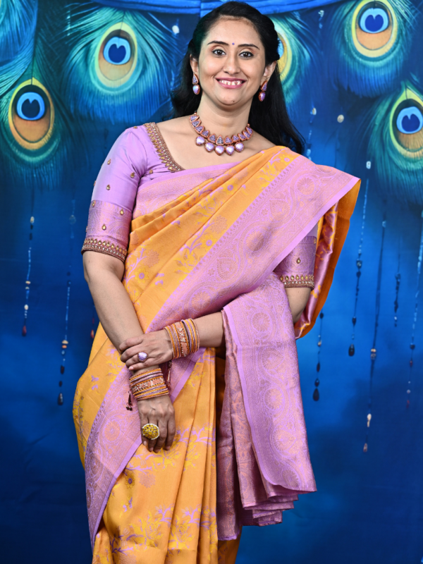 Meenakari weaving with contrast plain blouse with border